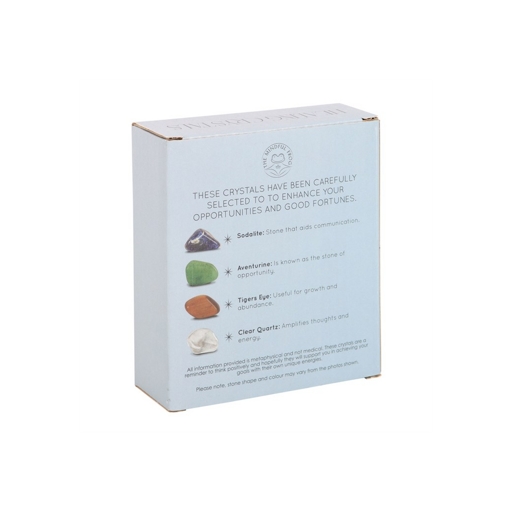 Success Healing Crystal Set with Moon Trinket Dish